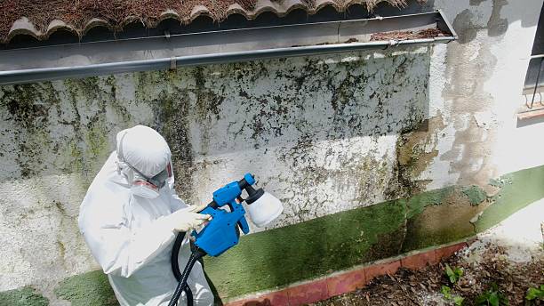 Top rated local Crawl Space Mold Remediation specialists in Auburn, KY